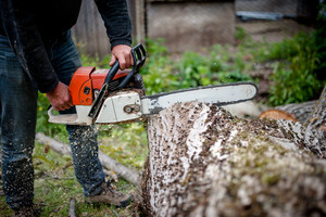 Plenty Mower's Pic 2 - Chainsaw Repairs Melbourne