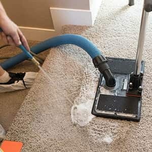 Carpet Cleanings Adelaide Pic 5