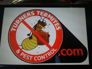 Turners Termites & Pest Control Pic 3