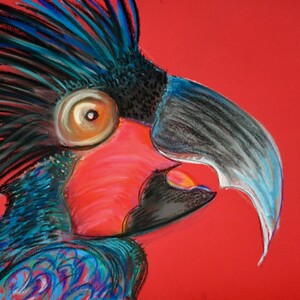 artforkidz Pic 4 - Black Cockatoo Pastels