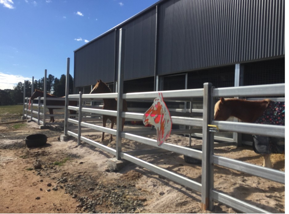 Equine Care Clinic Pic 1 - Purpose built stable complex for sick or injured horses Full rubber walls and flooring for comfort and safety Open fronted yards to give line of sight to other horses