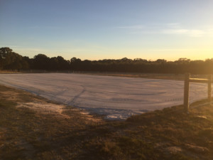 Equine Care Clinic Pic 2 - 60 x 25m sand arena