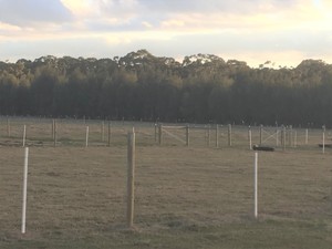 Equine Care Clinic Pic 3 - Equicentralpaddock paradise agistment systems