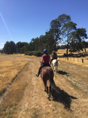 Equine Care Clinic Pic 4 - Surrounded by beautiful trails