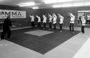 MMA Ju Jitsu Academy Pic 3