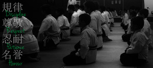 MMA Ju Jitsu Academy Pic 4