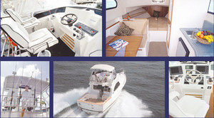 All Boat Services Pic 5 - Deep V 310 FB