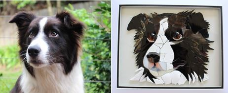 MosaicAura Pic 1 - Border Collie commission