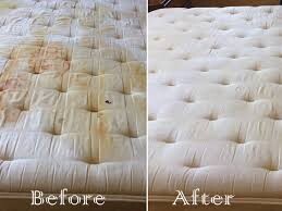 Fresh Mattress Cleaning Adelaide Pic 1