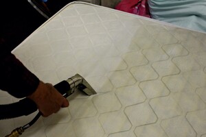 Fresh Mattress Cleaning Adelaide Pic 2