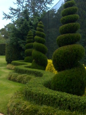 Gymea1 Horticultural Contracting Pic 2 - we can assist with your topiary