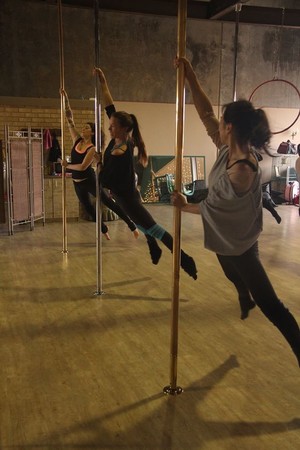 Flying High Aerial Arts Studios Pic 4