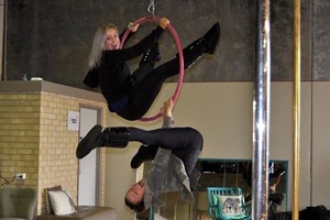 Flying High Aerial Arts Studios Pic 5