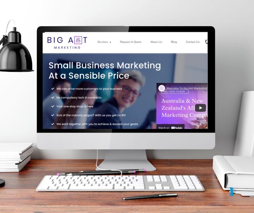 Big Ant Marketing Pic 1 - Affordable Digital Marketing Services for Small Businesses