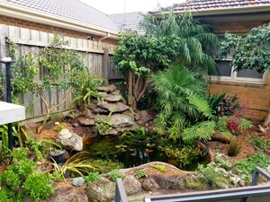 Majik Gardens Pic 2 - Fish pond makeover