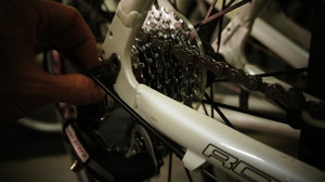 Rays Bicycles Pic 4