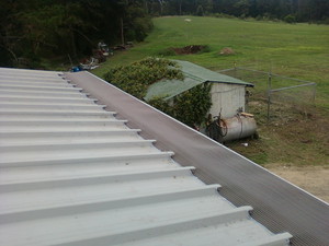 D&S Gutter Protection Pic 2 - Vermin Removal San Remo