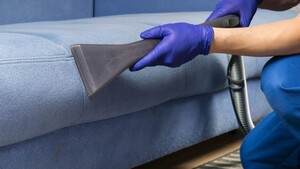 Rejuvenate Upholstery Cleaning Sydney Pic 4