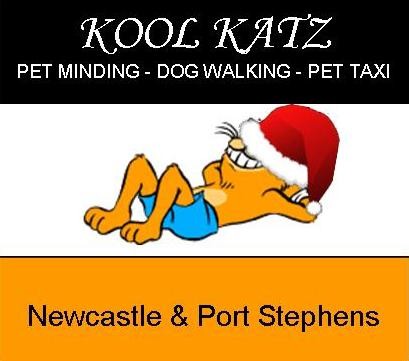 Kool Katz Pet Minding Pic 1