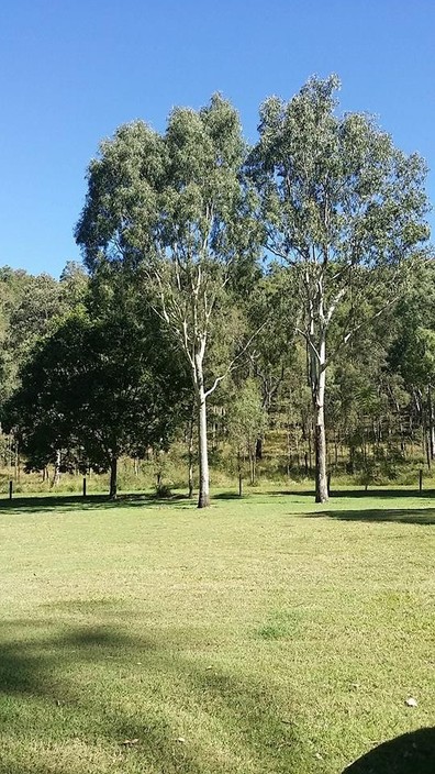 Bigriggen Park Pic 1 - Bigriggen Park grounds