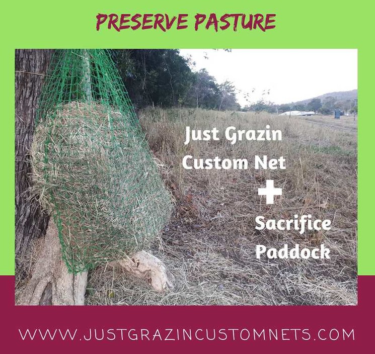 Just Grazin Custom Nets Pic 1 - Pasture Management Preserve Pasture