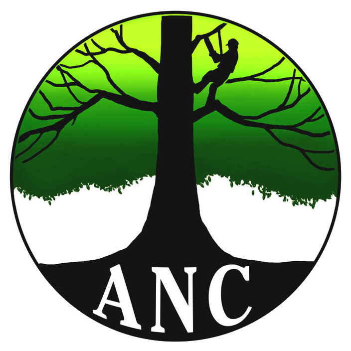 ANC Tree Services Pic 1