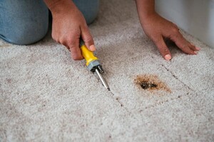 Carpet Cleaning By Rex Pic 3