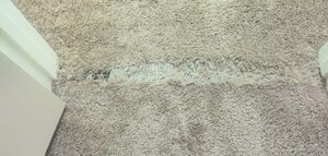 Carpet Cleaning By Rex Pic 5