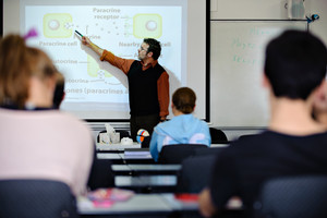 Southern School of Natural Therapies Pic 4 - Students learning in one of our classes