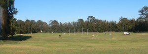 Milperra Golf Driving Range Pic 2 - Milperra Golf Driving Range