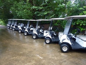 Eagle Carts Pic 3 - A fleet of our carts ready to go