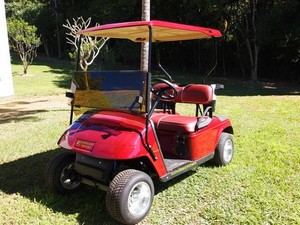 Eagle Carts Pic 5 - Maroons Origin Cart for the ultimate Queenslander