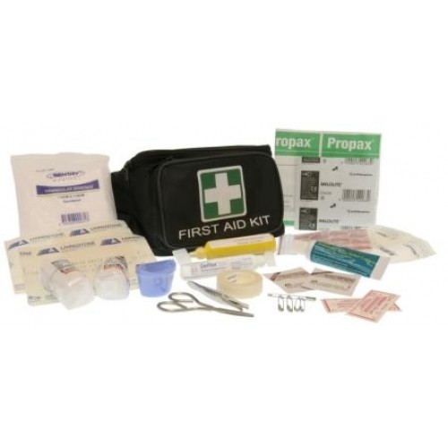 e First Aid Kit Pic 1 - First Aid Kit