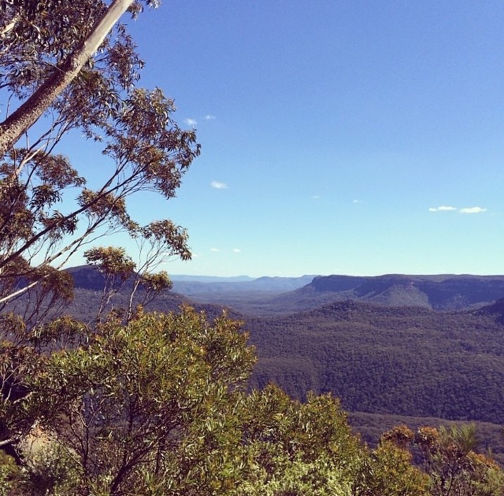 Blue Mountains National Park Pic 2