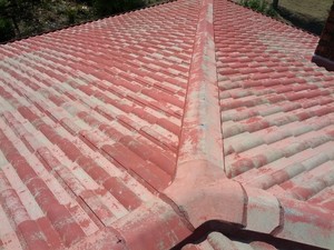 Brisbane Roof Restorations Pic 3 - Tiled roof restoration before