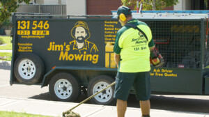 Jim's Mowing Frewville Pic 2