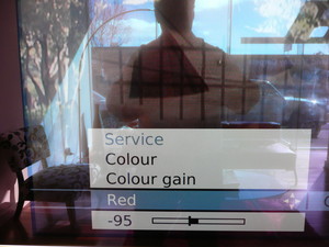 clarity audio & video calibration Pic 2 - Service menu greyscale calibration