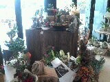 Florist @ Seaford Pic 2