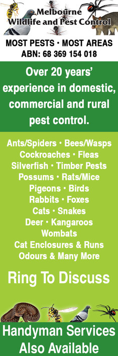 Melbourne Wildlife and Pest Control Pic 1