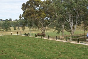 Perfection Glass Fencing Pic 3 - Frameless Glass Fencing by PERFECTION Glass Fencing