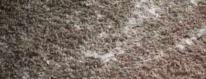 Waratah Carpet Cleaning Pic 3