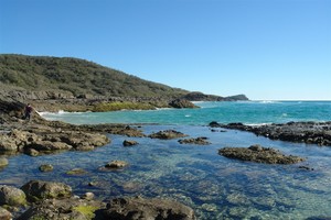 Rainbow Beach Adventure Centre 4WD Hire Pic 5 - Champagne Pools Fraser Island