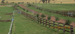 Tanglewood Farm Pic 4 - Secure yards paddocks