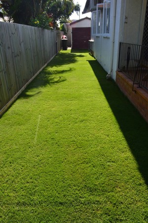 The Grass Catcher Lawncare Pic 3