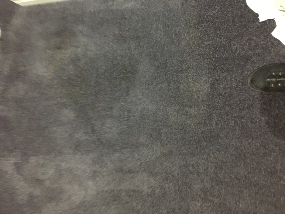 Statewide Carpet Cleaners Pic 1 - After