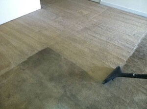 NRB carpet cleaning Pic 5