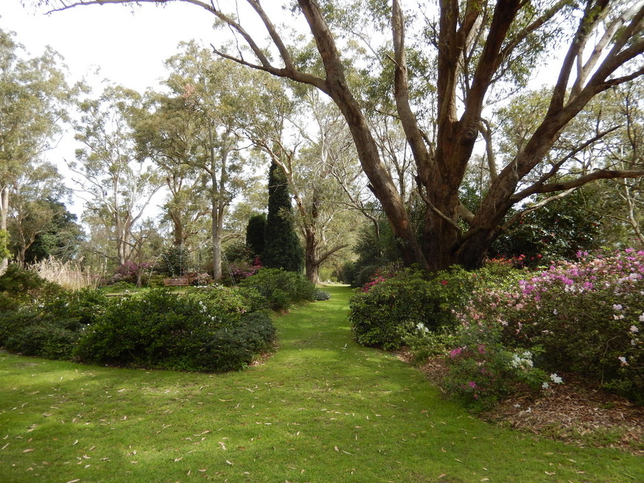 Hunter Region Botanic Gardens Pic 1