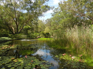 Hunter Region Botanic Gardens Pic 2