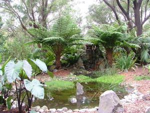 Hunter Region Botanic Gardens Pic 4 - Add a caption