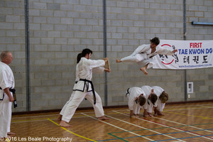 Tae Kwon Do WA Pic 3 - Tae Kwon Do WA Perth Western Australia 5